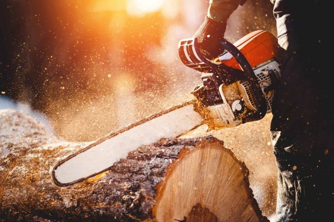Schiacciato dall’albero che stava tagliando, operaio in gravi condizioni