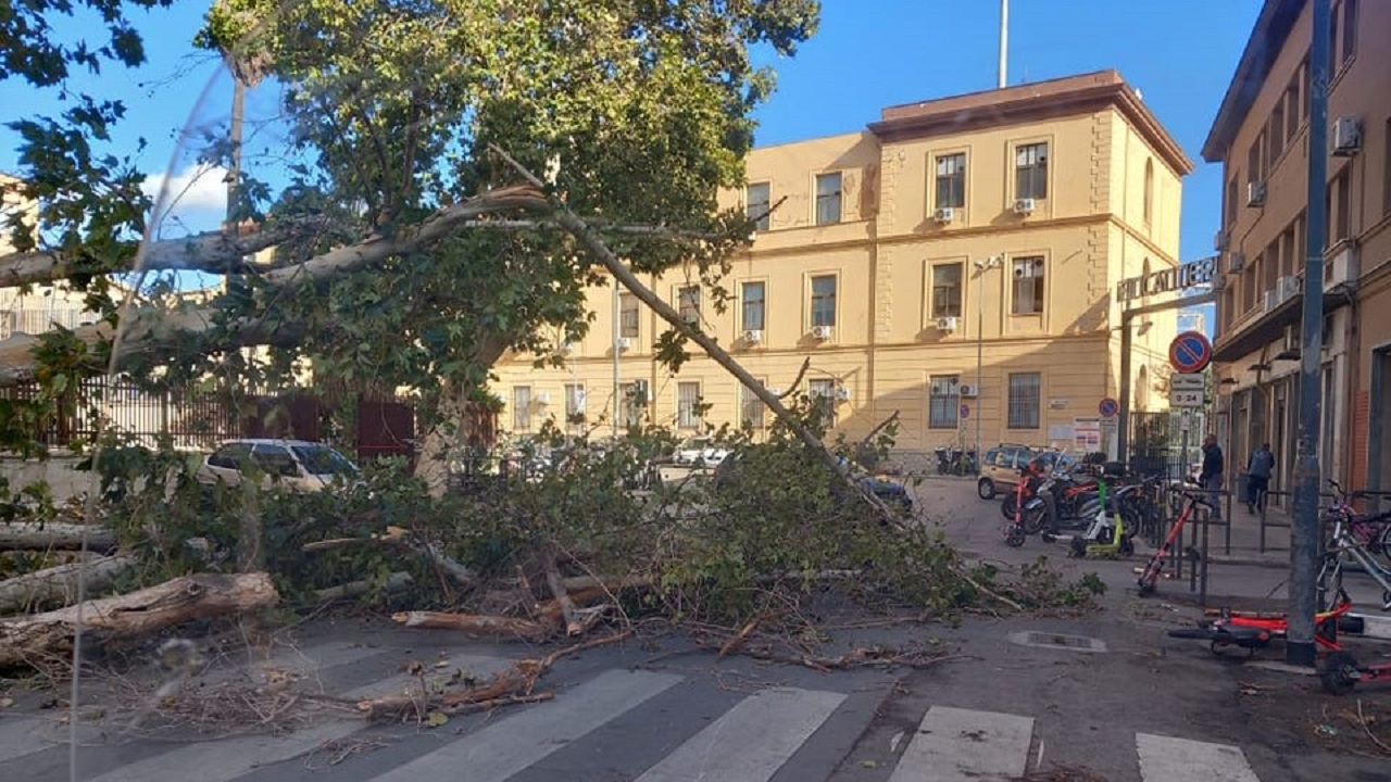 Il forte vento mette in ginocchio Palermo, cos’è successo nelle ultime ore
