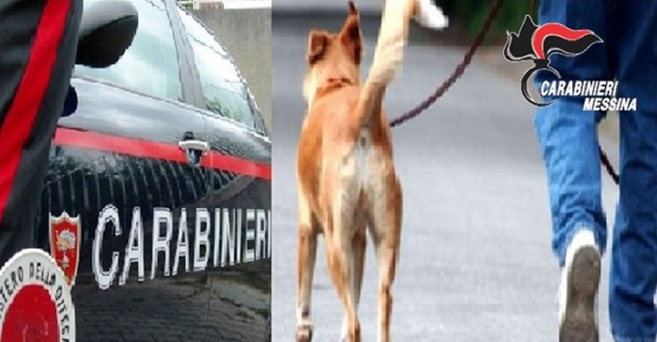 Con la scusa di portare il cane fuori per i bisogni evade dai domiciliari: arrestato 39enne