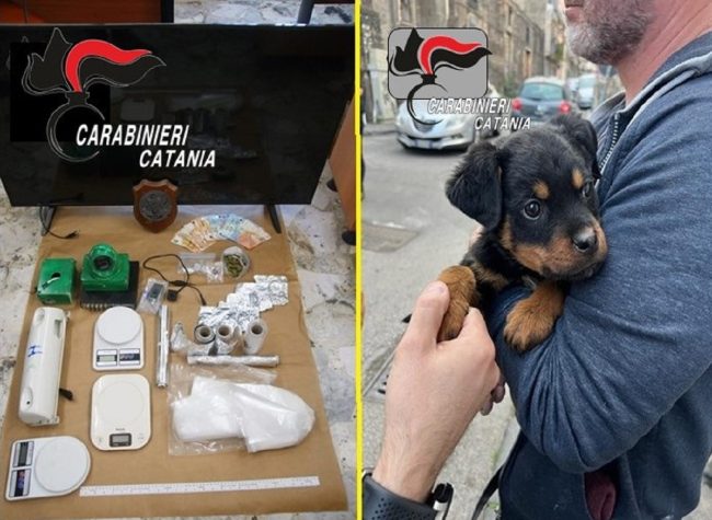 Creano un supermarket della droga, 4 arresti a Catania – VIDEO