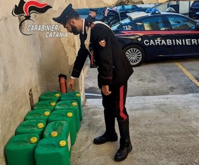 Concima a costo zero il proprio uliveto, 56enne denunciato