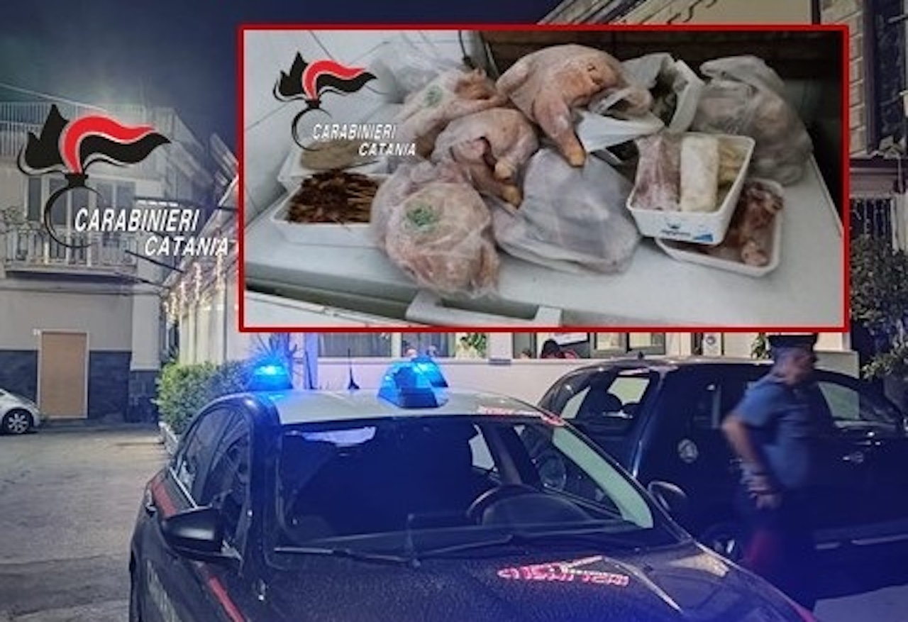 Chiuso un ristorante di sushi del Catanese, cosa è stato scoperto