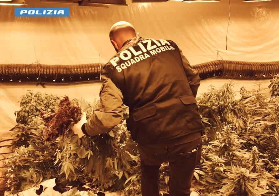 Sequestrati 140 chili di marijuana in uno stabile del centro storico di Niscemi – VIDEO