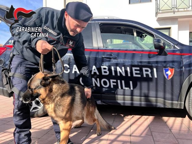 Operazione “Natale Sereno”, controlli e sanzioni a Caltagirone