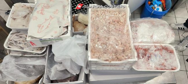 Catania, Guardia Costiera sequestra 570 chili di pescato non tracciato