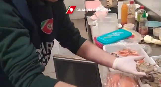 Operazione “Spinnaker” contro attività di pesca illegale