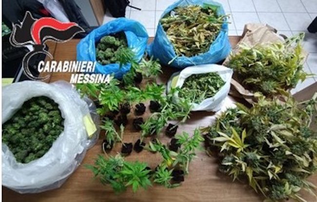 Arrestata coppia di spacciatori: utilizzavano casa come serra