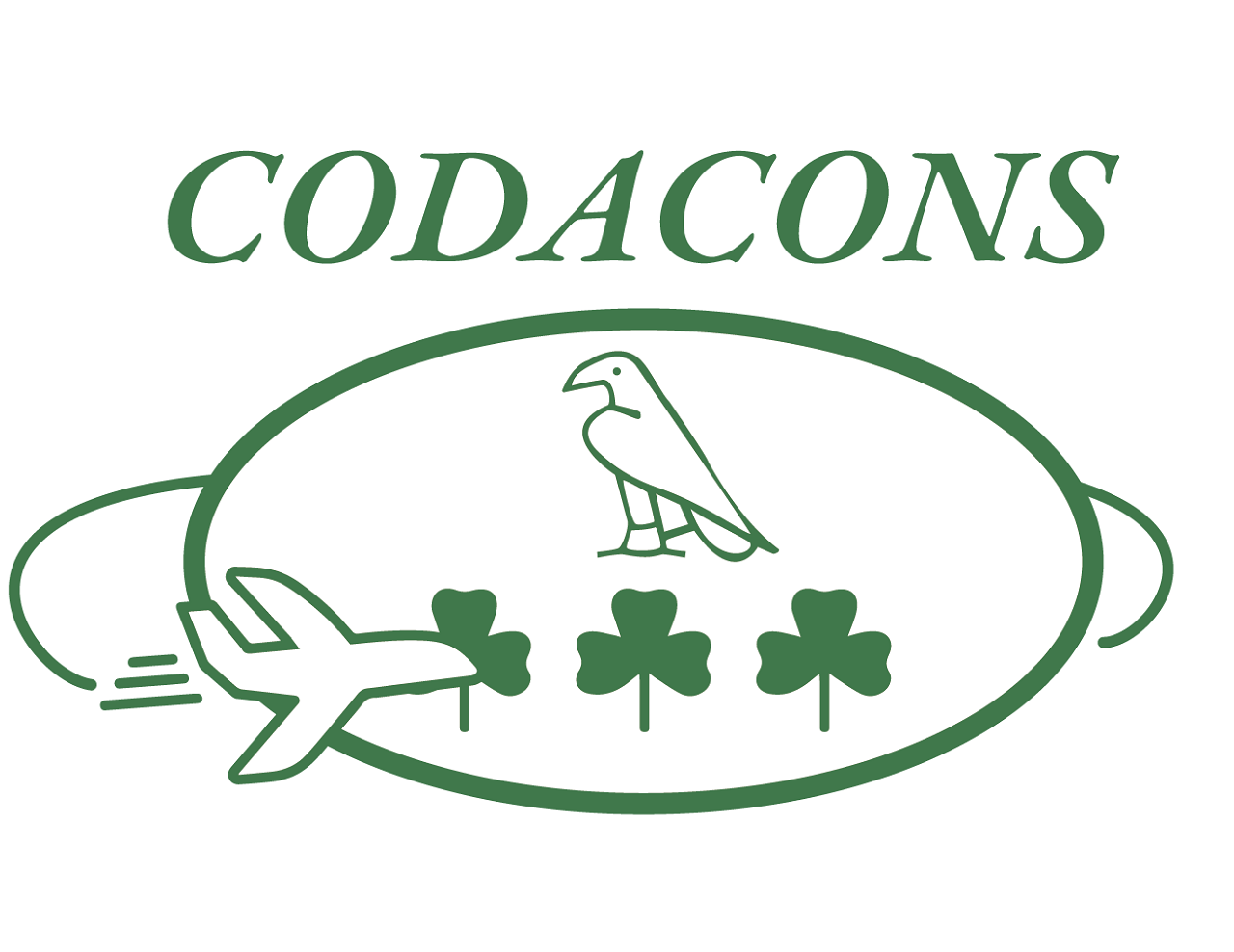 Botti di fine anno, Codacons chiede ai sindaci di vietarli