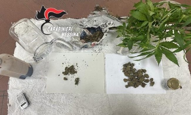 Messina, pregiudicato sorpreso con piantine di marijuana in casa