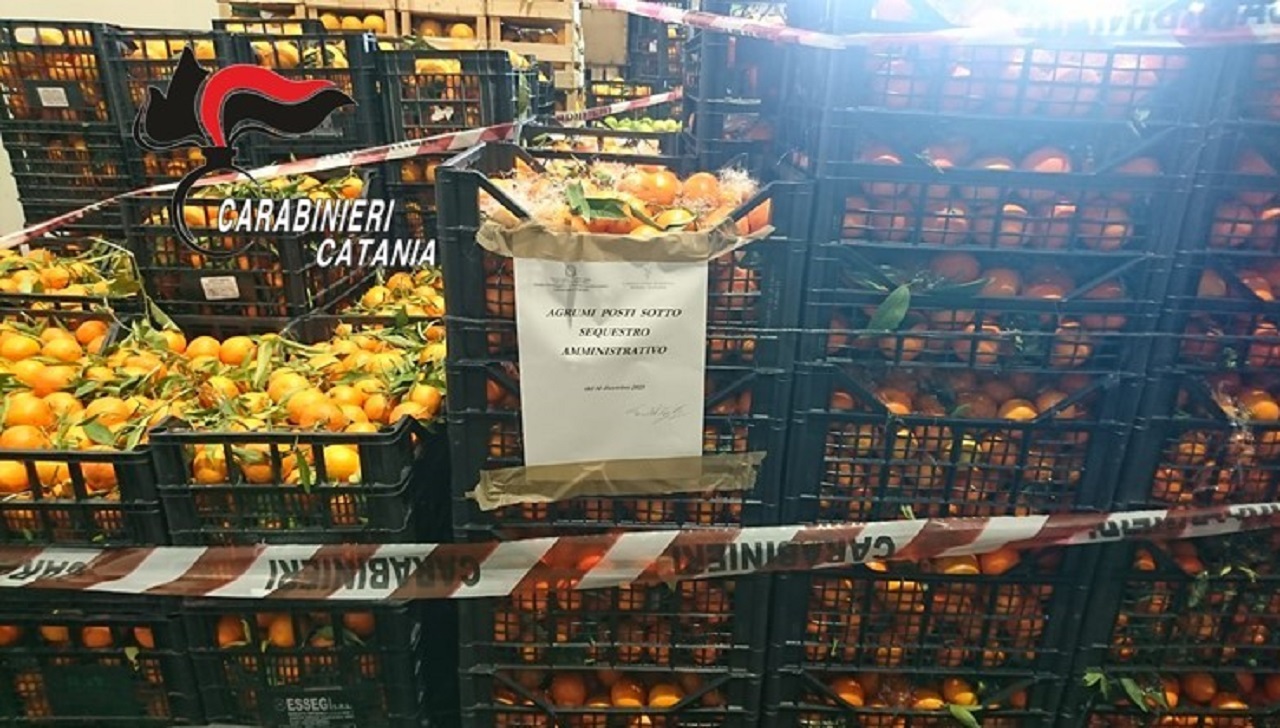 Catania, donate in beneficenza 8 tonnellate di agrumi sequestrate