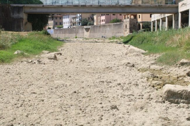 Sos siccità in Sicilia, Sammartino: “Dichiarare stato di calamità”