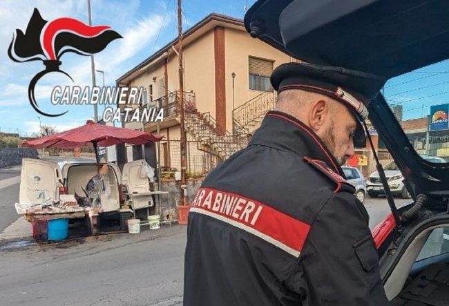 Sequestrati 80 kg di pescato non tracciato a Pedara