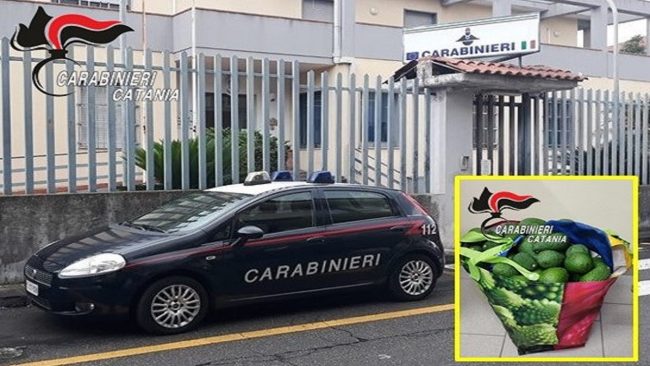 Viene sorpreso a rubare avocado e colpisce un agente in volto: arrestato 57enne a Riposto