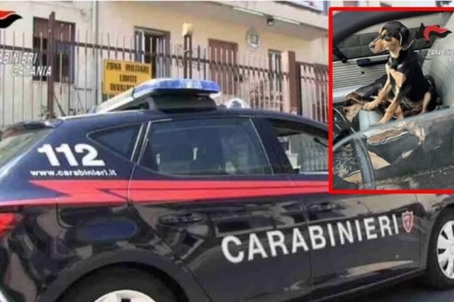 Catania, lancia cucciolo di cane oltre la recinzione della Caserma