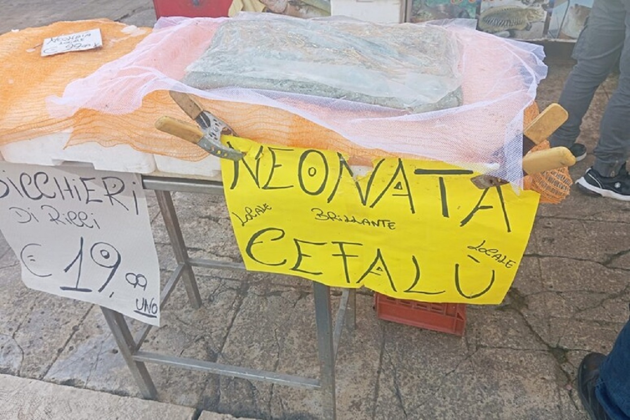 Palermo, mille chili di pesce sequestrati dalla Guardia Costiera: sanzioni “salatissime”