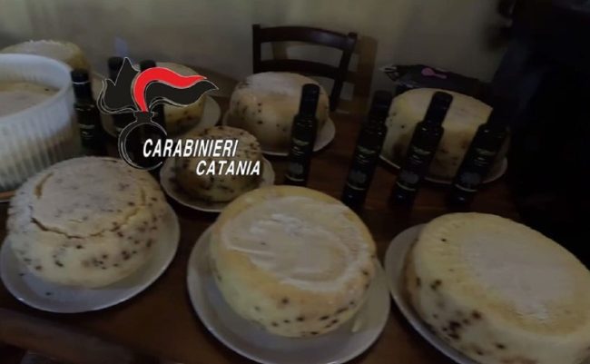 Ristorante da “incubo” a Linguaglossa tra salumi rosicchiati dai topi, muffa ed escrementi