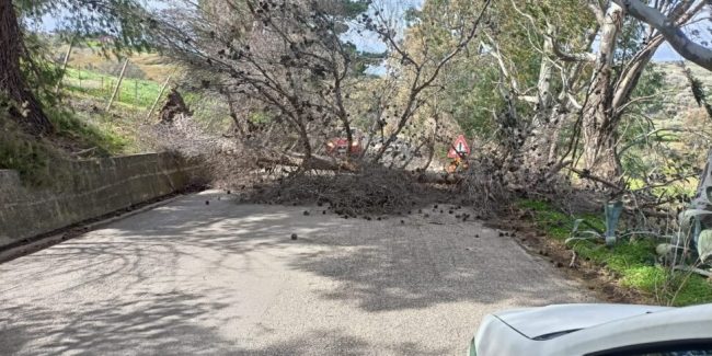 Incendio a Collesano mette a rischio il centro di compostaggio del Comune