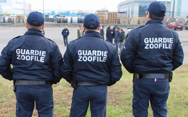 Come diventare guardia zoofila, iscrizioni gratuite e info utili