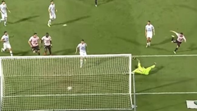 Il Palermo detta legge: 3-0 al Como e fa sognare i tifosi