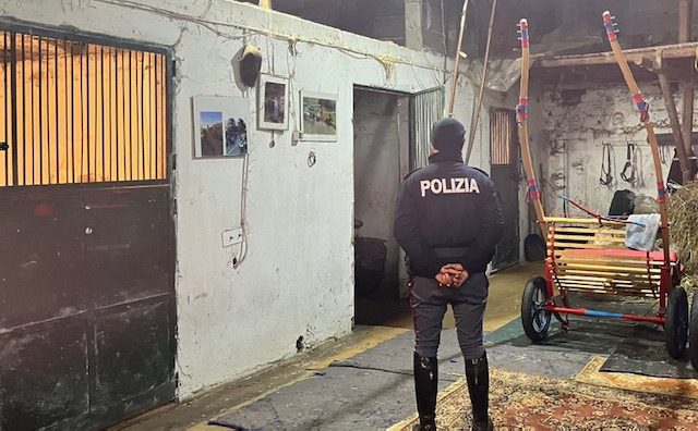 Rinchiude un cavallo in un piccolo box al buio e senza aria: 51enne denunciato a Catania