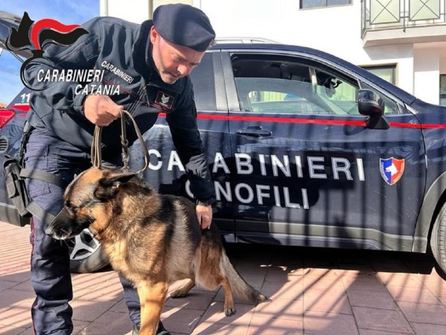Carnevale di Acireale, servizi straordinari di controllo per la sicurezza