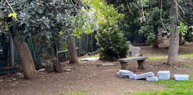 Nel quartiere Borgo-Sanzio oasi del verde e aiuole tra degrado, sporcizia e manutenzione assente. Comitato Vulcania: “Emergenza a livello igienico”