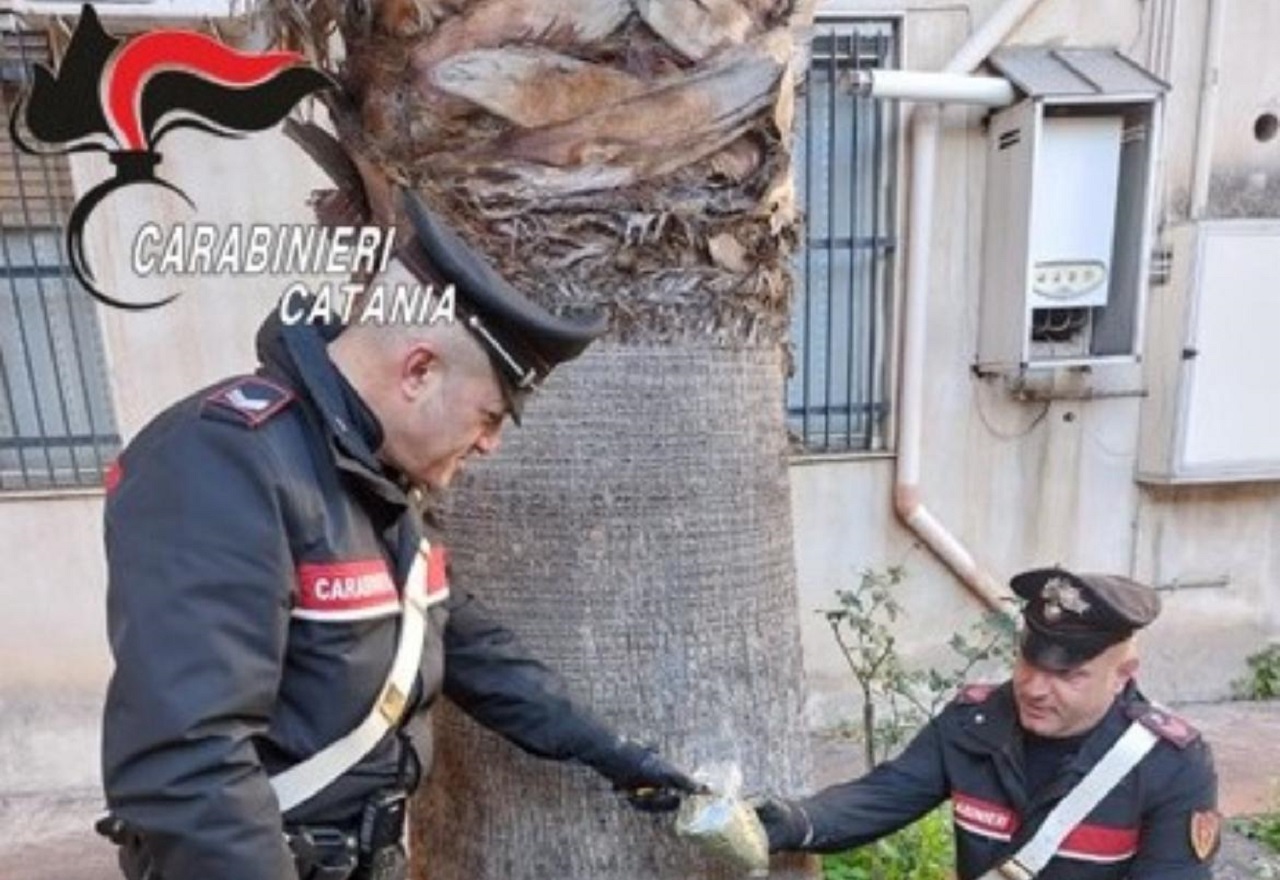 Intensificate le attività dei carabinieri nel Catanese: sequestrata droga e 5 veicoli