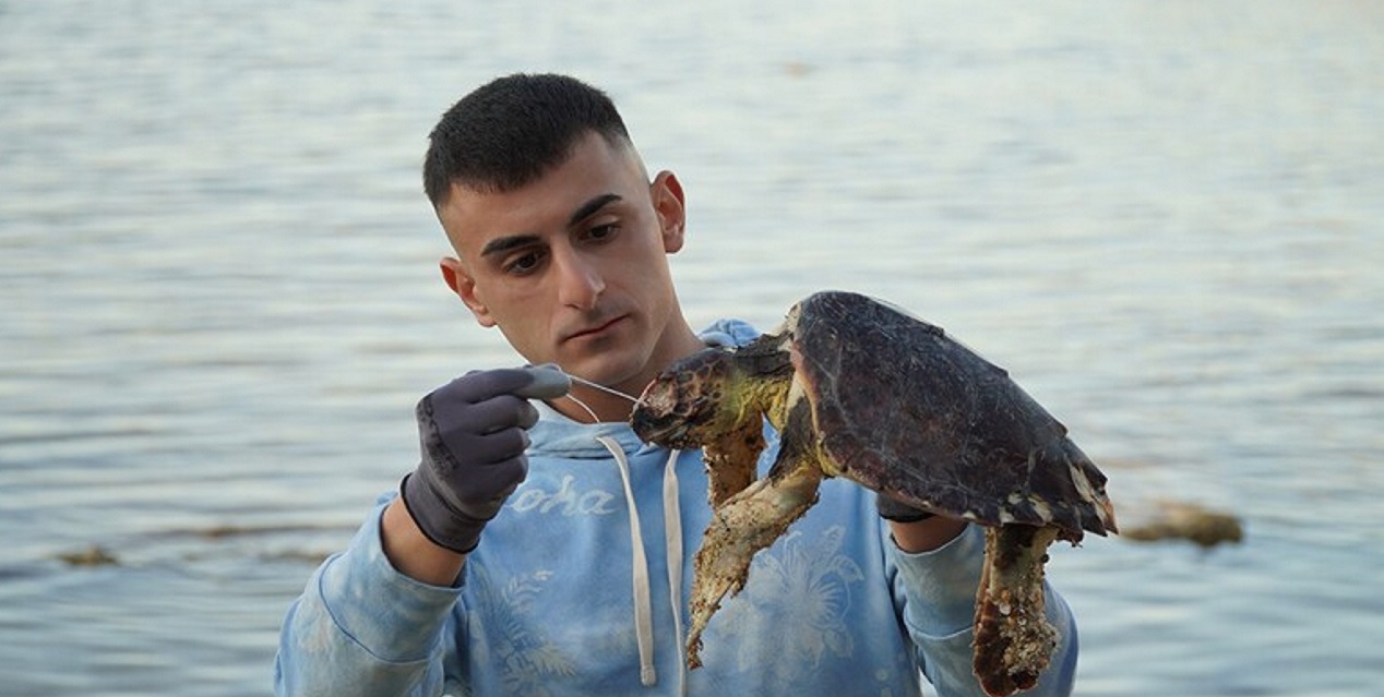 Siracusa, trovata tartaruga senza vita e con un palamito in bocca: “Vittima dell’inquinamento”