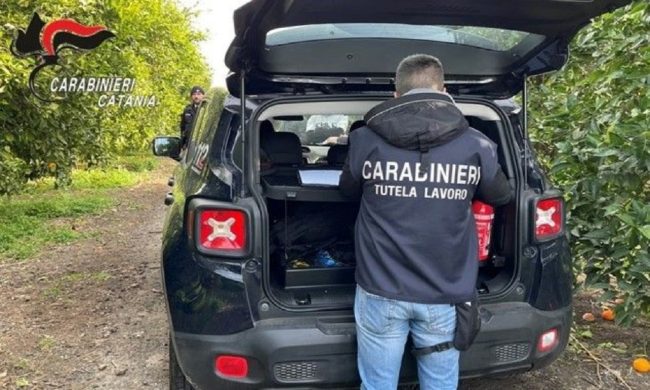 Paternò, controlli nelle aziende agricole: una denuncia per “caporalato” e furto dell’energia elettrica
