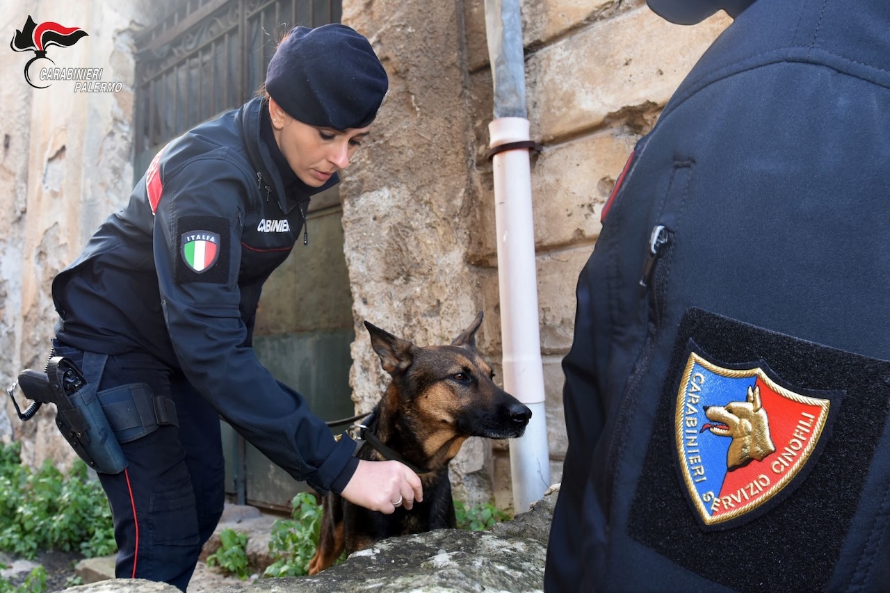 Vasta operazione antidroga a Palermo, sei arresti e oltre 25 chili di stupefacente sotto sequestro