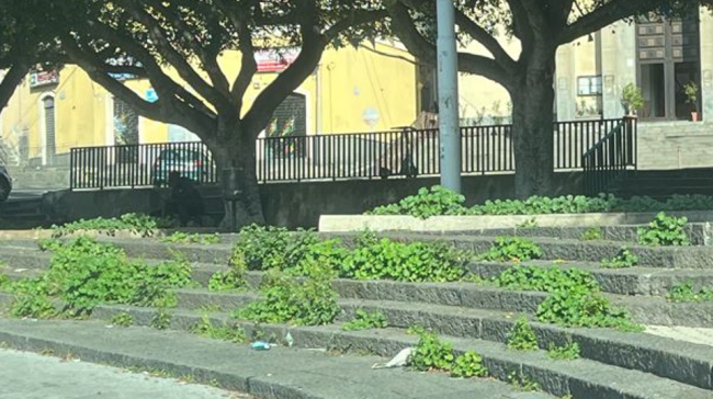 Piazza Bonadies e via D. Bramante, quartiere Borgo-Sanzio, necessitano interventi per la scerbatura