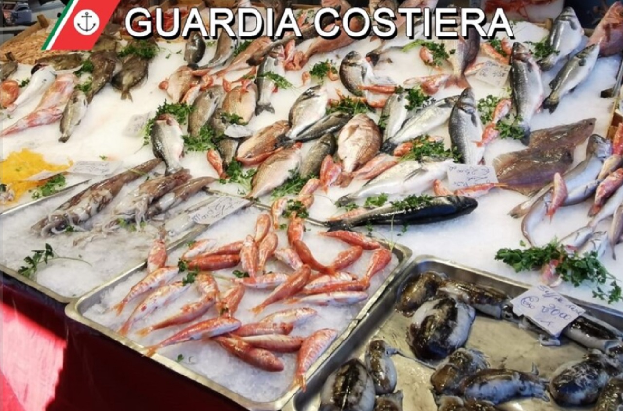Palermo, sequestrate 2,5 tonnellate di pesce