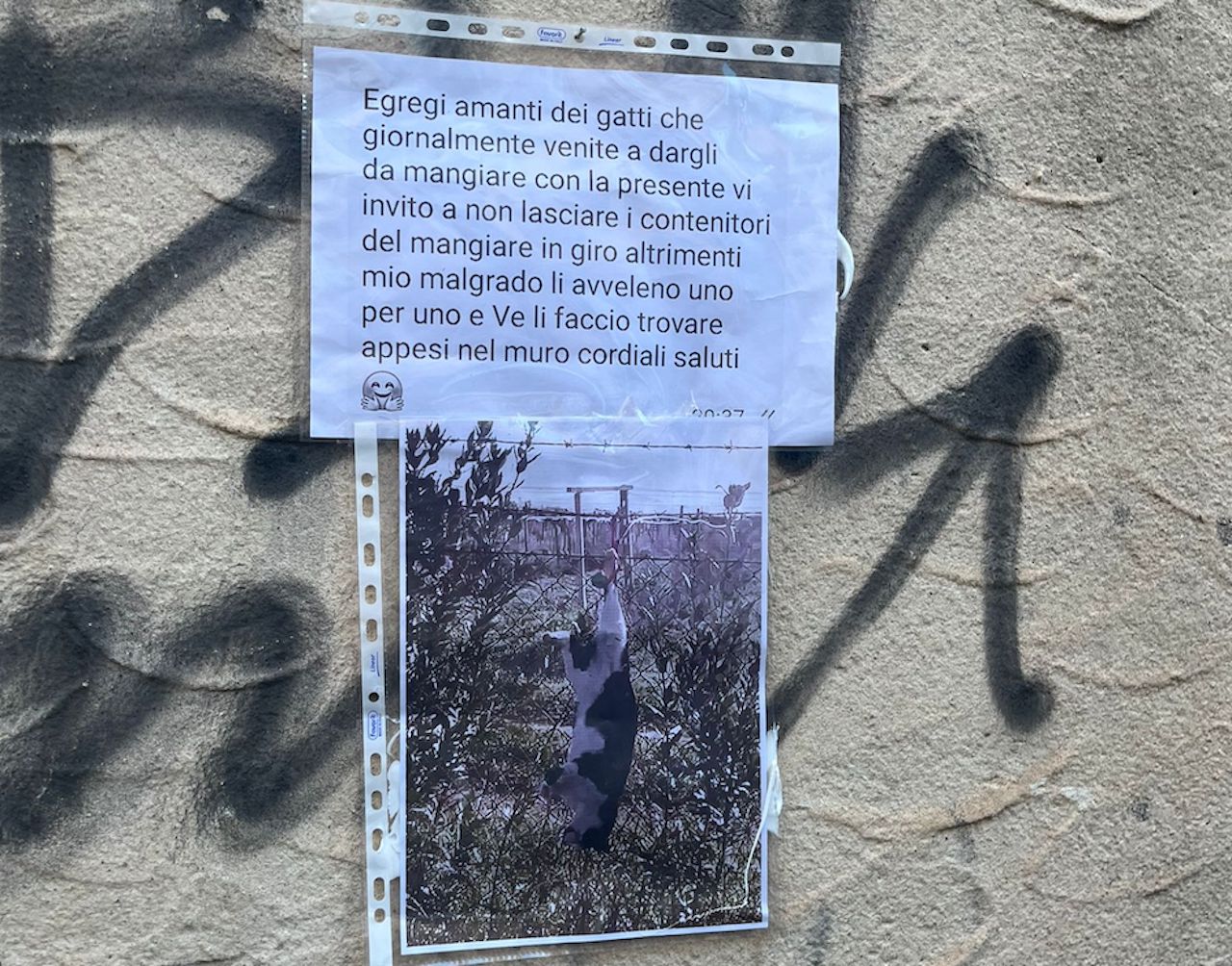 Catania, trovata l’immagine di un gatto appeso a testa in giù e un messaggio intimidatorio