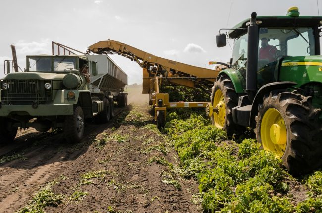Avviati lavori per miglioramento rete irrigua tra Siracusa e Catania