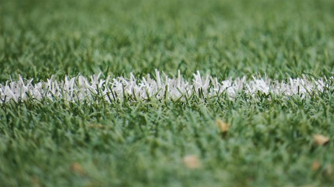 Invasione di campo alla fine della partita Palermo-Como, Daspo di un anno per tre tifosi