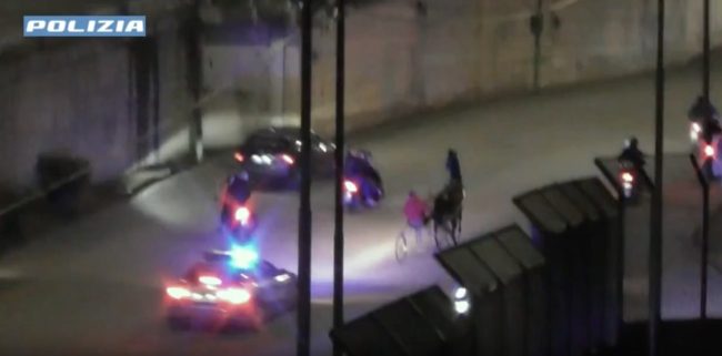 Blitz durante una corsa clandestina di cavalli nel Messinese – VIDEO