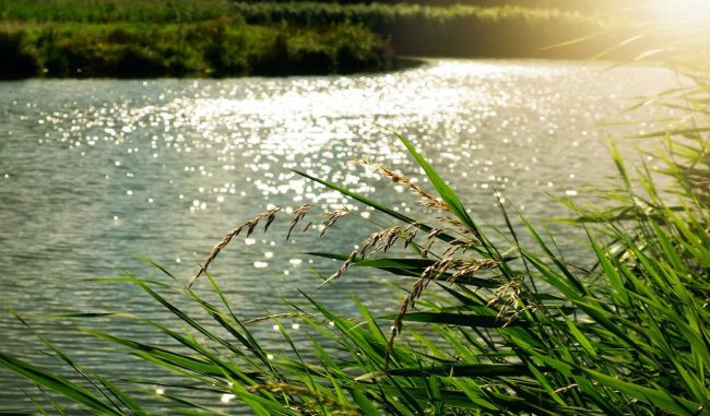 Rubavano l’acqua del Simeto per irrigare i propri campi: 3 denunce per reati ambientali nel Catanese