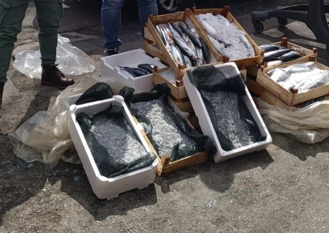 Pesce senza tracciabilità al mercato Vascone di Messina: tre lavoratori impiegati in nero
