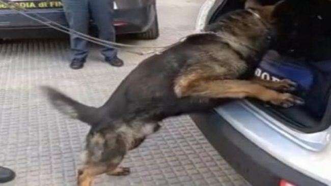 Oltre duecento panetti di hashish nelle confezioni gelato per la Sicilia: arrestato corriere della droga