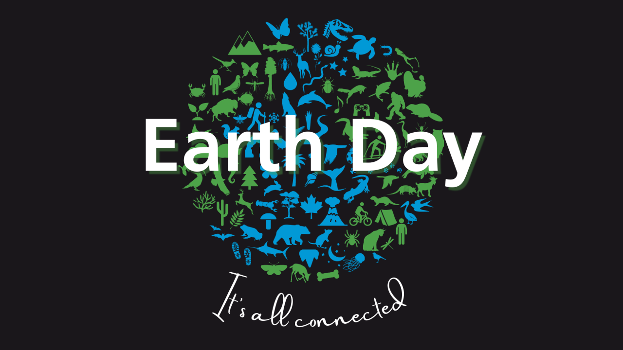 Giornata della Terra, oltre mille volontari liberano la Sicilia da 16,5 tonnellate di plastica e rifiuti
