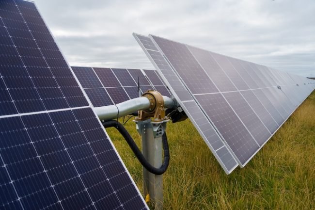 Ramacca, l’impianto agrivoltaico da oltre 42 milioni di euro di Miaenergia salvaguarda l’ambiente