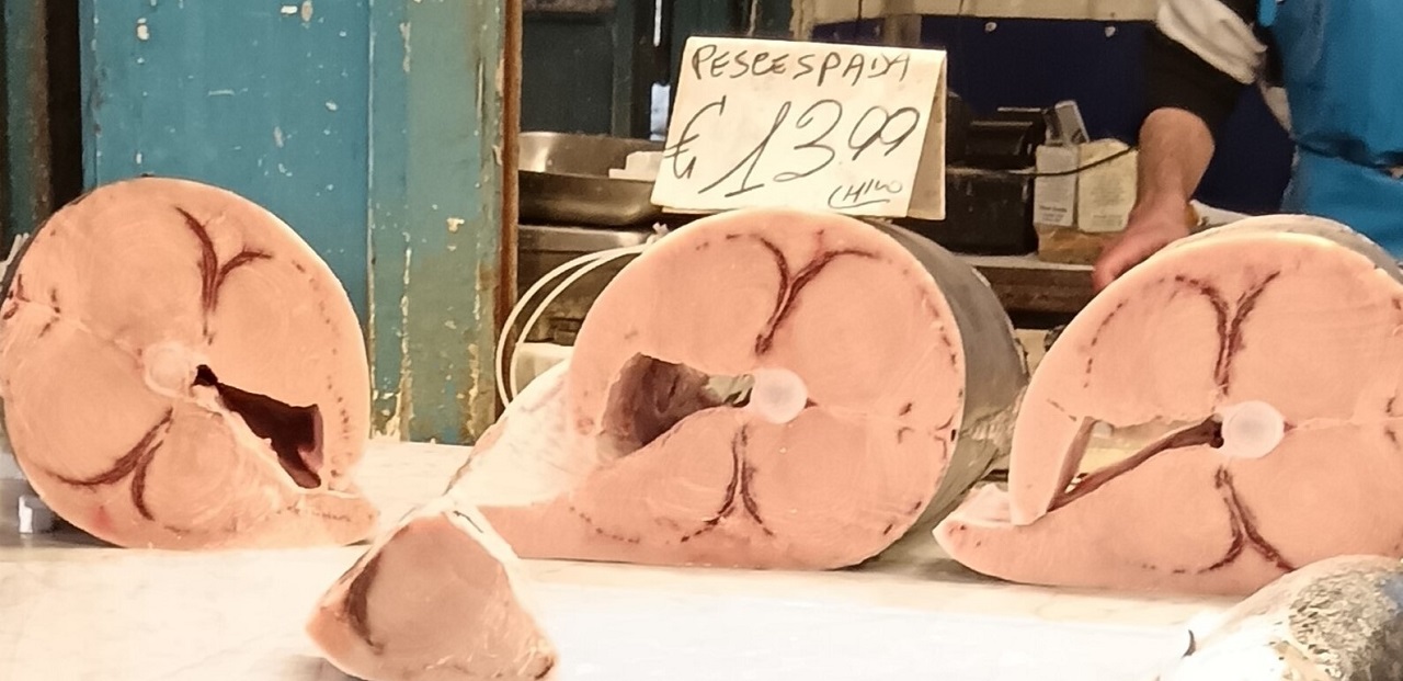 Vendita illegale di Pesce spada, nel mirino Catania e Palermo: scatta la denuncia all’UE