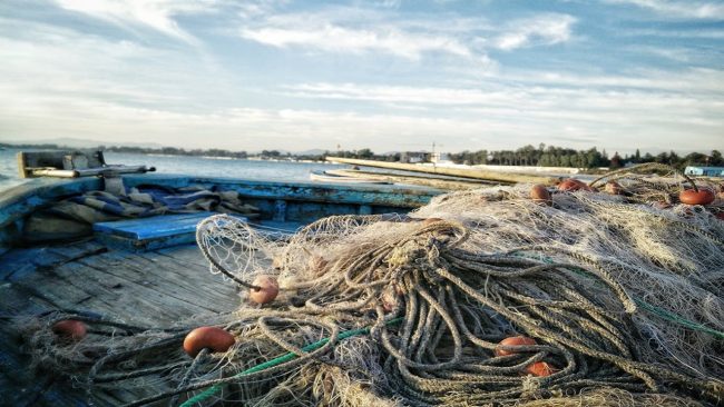 Reti da pesca illegali nel porticciolo di Sferracavallo, scatta il sequestro della Guardia Costiera