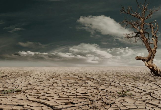 Questione Siccità, in Sicilia la situazione è drammatica: chiesto lo stato di emergenza nazionale