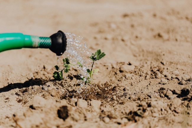 Il Prefetto di Catania convoca un tavolo sulla crisi agricola: accolta la richiesta di Confagricoltura 