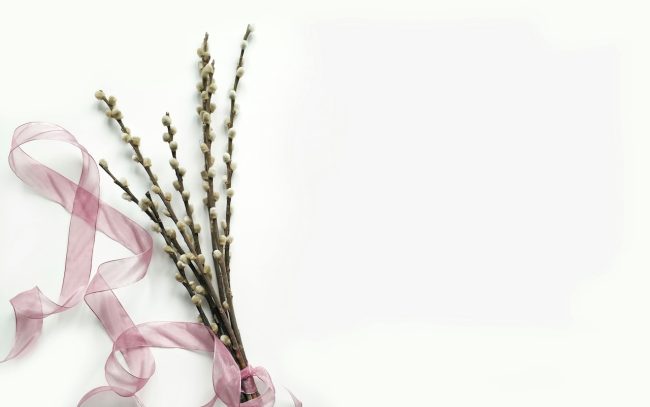 Giornata della Salute della Donna, visite gratuite al Cannizzaro dal 18 al 24 aprile