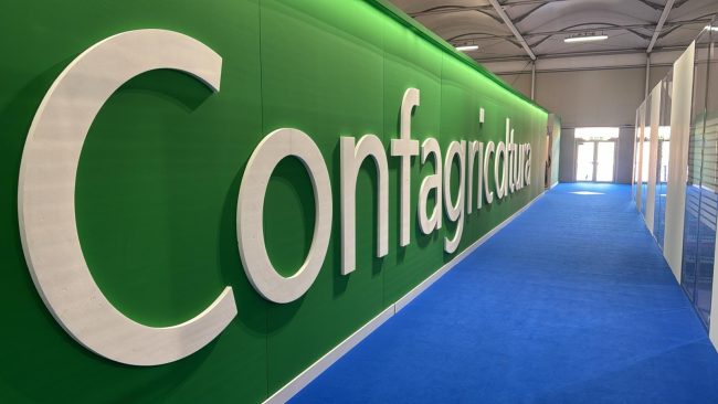 Siccità, Confagricoltura Catania dopo l’ok all’emergenza idrica: “Fondi assolutamente insufficienti”