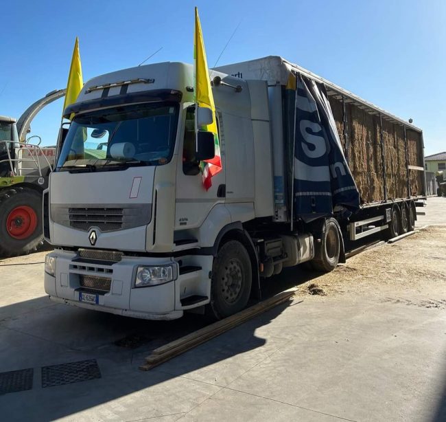 Coldiretti solidale, in arrivo 1,5 milioni di fieno dal Nord Italia per le stalle siciliane
