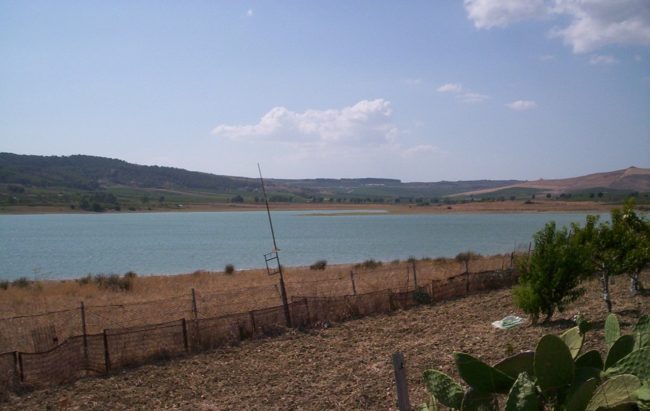 Emergenza siccità a Sambuca, il sindaco: “Il lago Arancio inutilizzato”