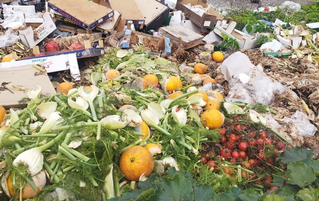 A Catania spazzatura e topi tra corso Sicilia e piazza della Repubblica – LE FOTO